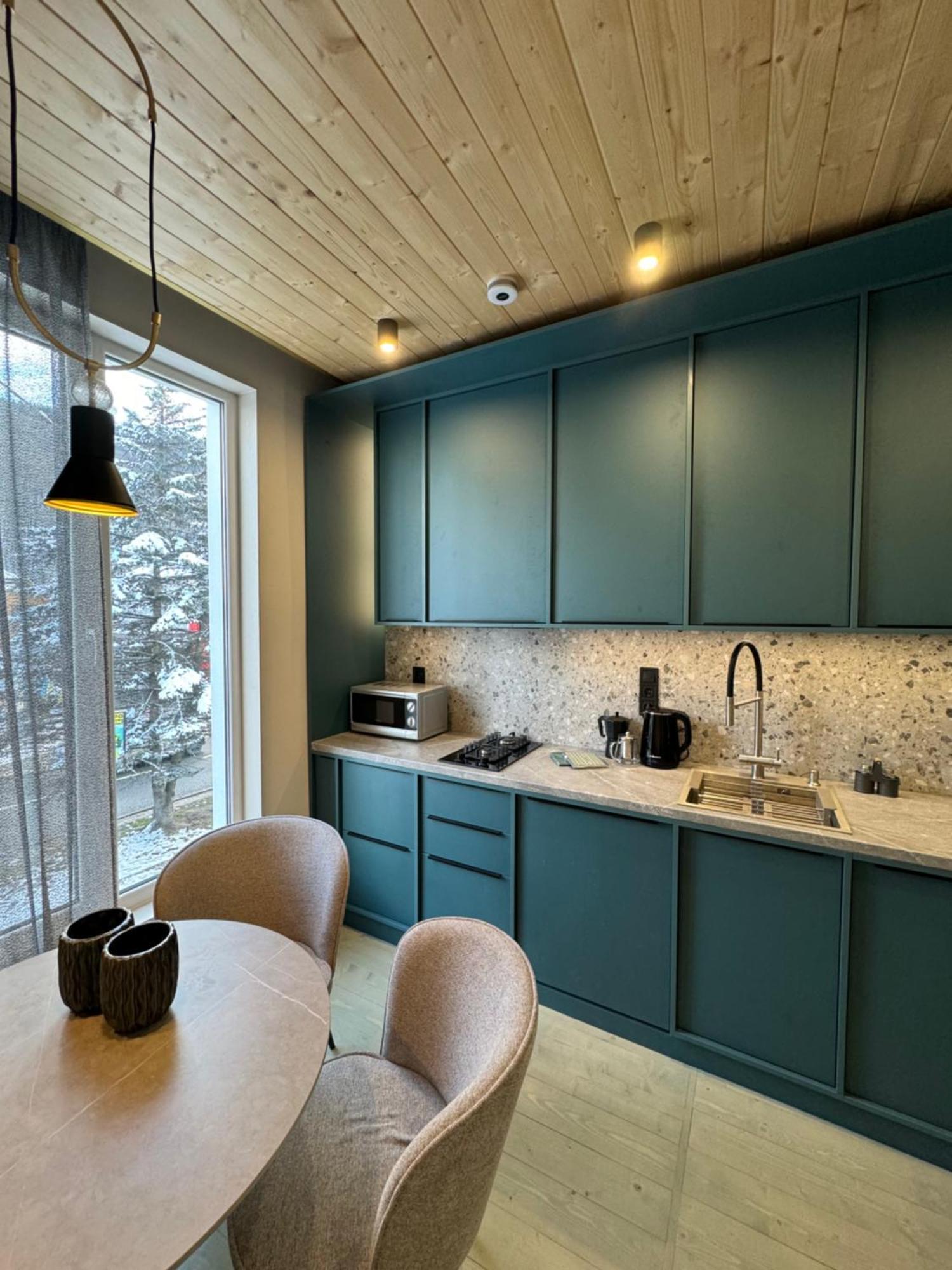 Apartment Girske Povitria Yaremche